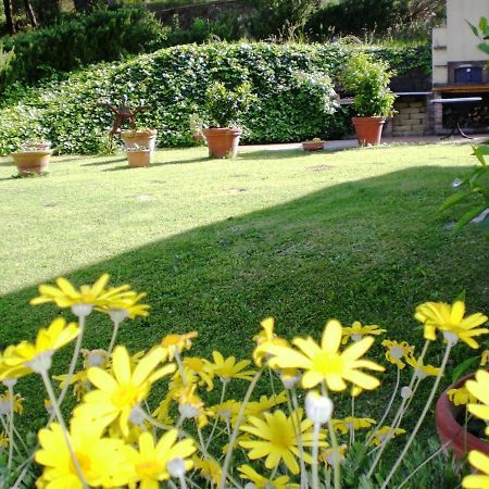 Agriturismo Santa Barbara San Miniato Dış mekan fotoğraf