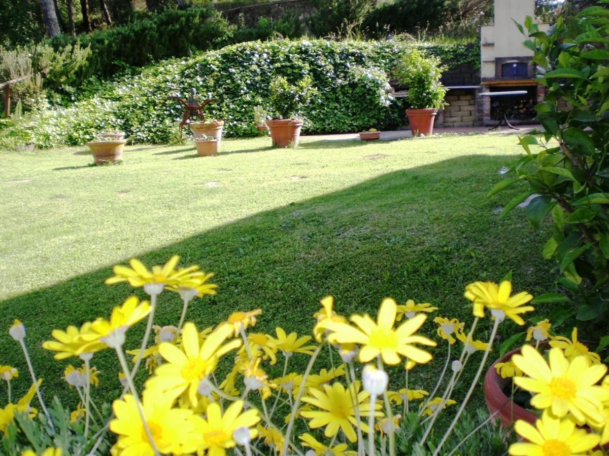 Agriturismo Santa Barbara San Miniato Dış mekan fotoğraf